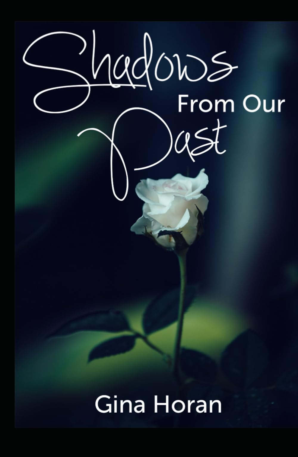 Shadows From Our Past (The Shadows)