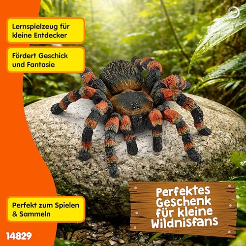 Schleich WILD Life | Vogelspinne 14829 | 6 x 8 x 2 cm