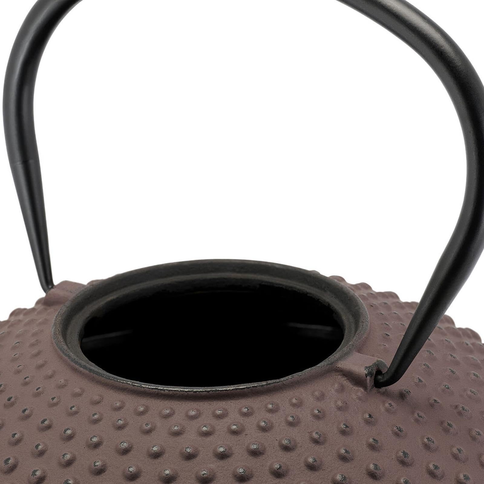 Bredemeijer Gusseisen Teekanne 1.25 Liter Induktion - flache Asia Gusskanne aubergine im Set mit Untersetzer & Teewärmer & 4 Teebecher (Tassen) & Teefilter-Sieb-Einsatz