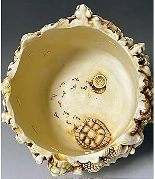 Amazon.co.jp: ハーモニーキングダム 亀 小物入れ カメ かめ 彫刻 置物