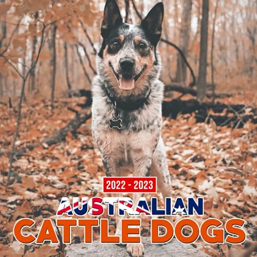 Australian Cattle Dogs 2022 Calendar: Cute Animals Dog Breeds Gift Idea / White Elephant / Stocking Stuffer / Birthday Present 2022-2023 Squared Monthly / Month Planner