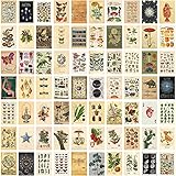 Sangrl 70 Stück Vintage Botanical Wall Collage Kit, ästhetisches Bild Indie Room Decor, Art Poster für Wohnheim-Wanddekoration, 4
