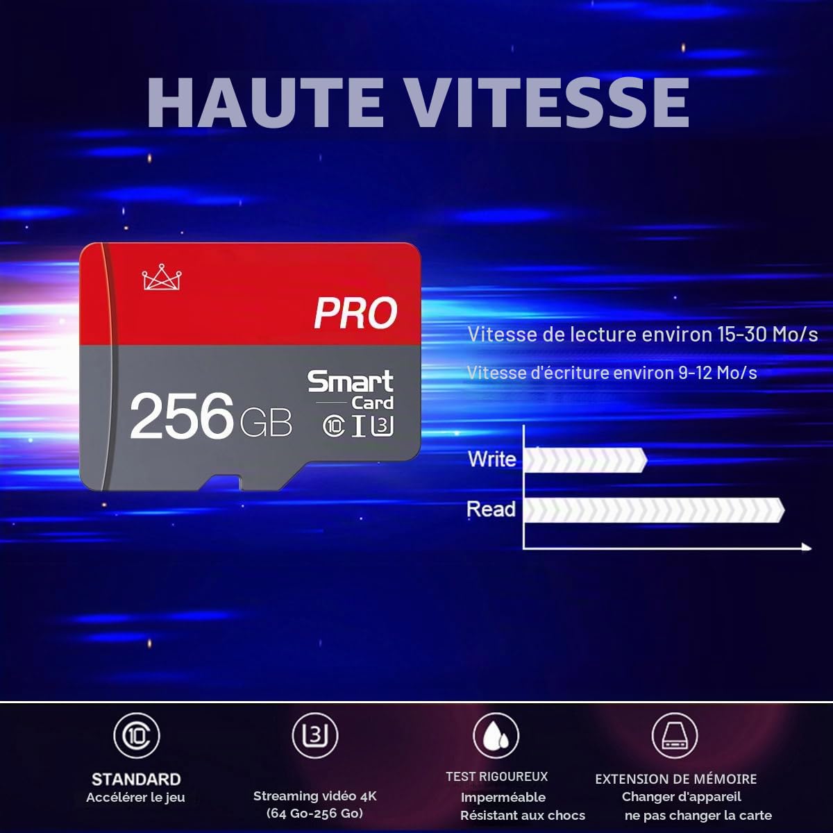 Lot de 2 cartes mémoire Micro SD 256 Go Classe 10 Haute Vitesse avec adaptateur Mini SD