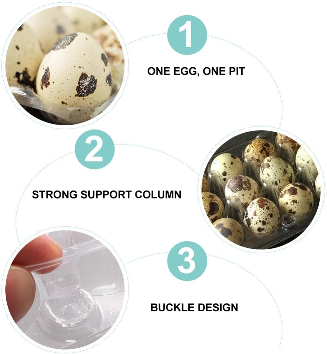 12pcs Quail Egg Cartons Plastic Holder with Cells Stackable Egg Storage Box for Home Kitchen Travel Camping Picnic Transparent Food-grade Organizer