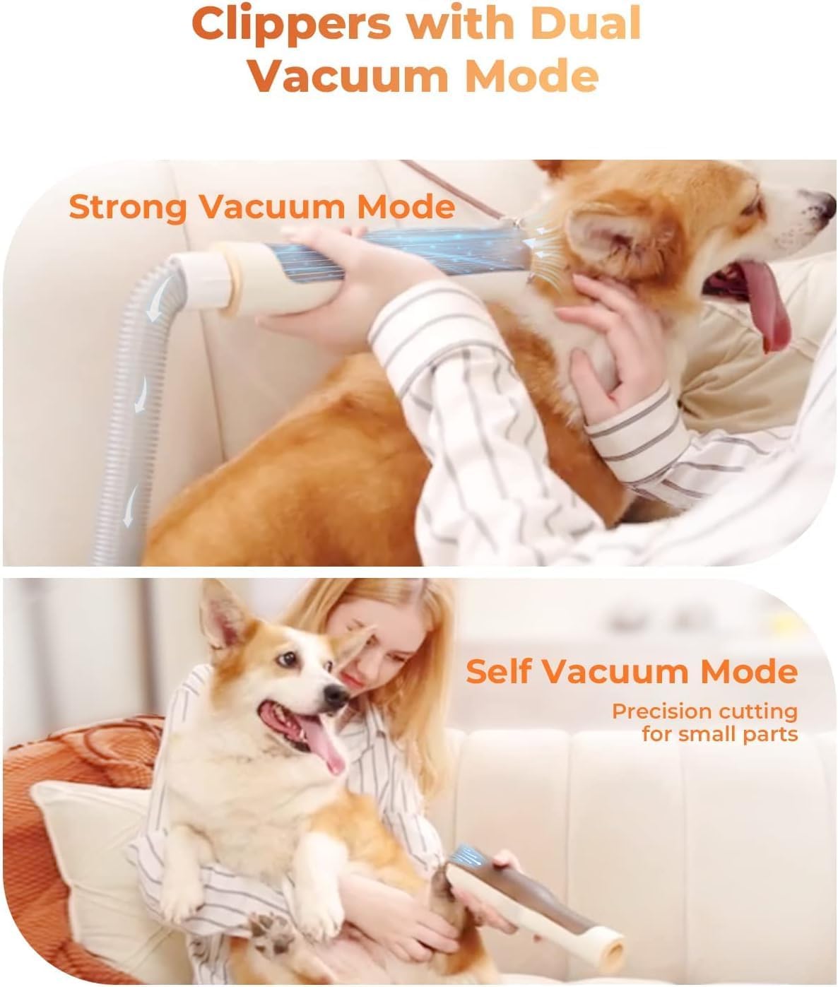 Pet Grooming Vacuum kit Dog Hair Vacuum & Dogs Brush for Shedding with 5 Pet Grooming Tools for Dogs Cats and Other Animals (Gray)