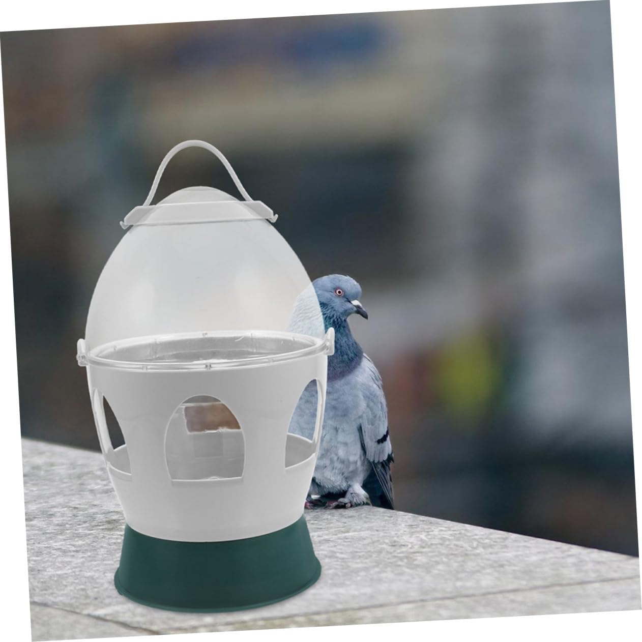 Bird Water Dispenser and Feeder for Pigeons Parrots and Doves Capacity Automatic Watering System Easy to Clean Bird Cage Accessory for Pet Owners