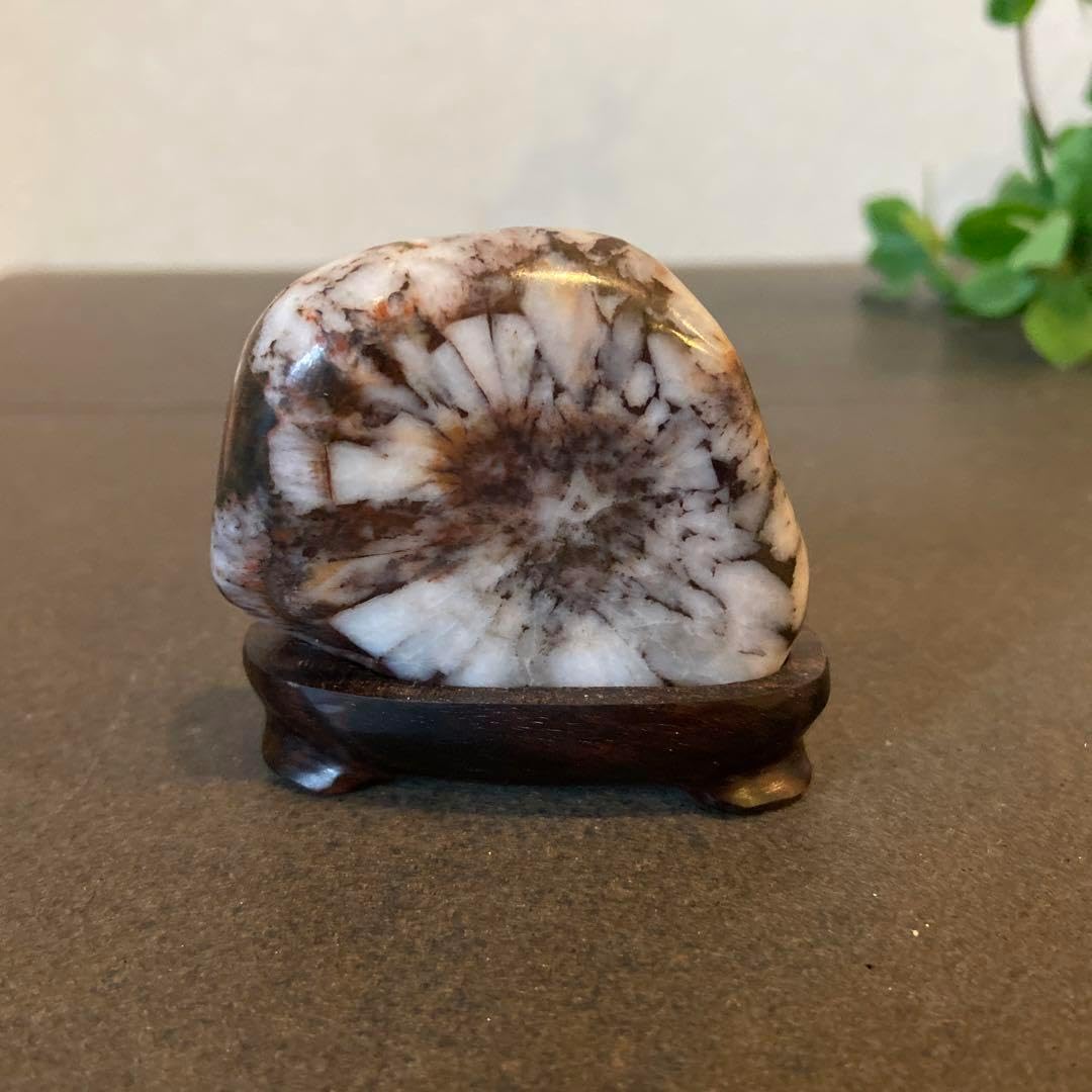 紅更紗石　紅孔雀石、鑑賞石★ 美濃金生山 紅更紗石 ☆ 鑑賞石 紅孔雀石 水石 suiseki - メルカリ