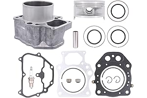ApplianPar Top End Rebuild Kit for Honda Foreman 500 TRX500 Pioneer 500 2012-2020