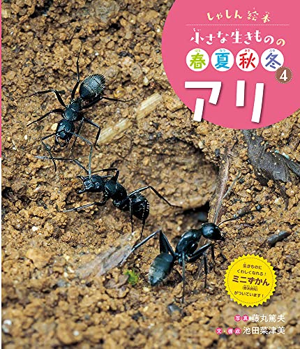アリ (しゃしん絵本小さな生きものの春夏秋冬)