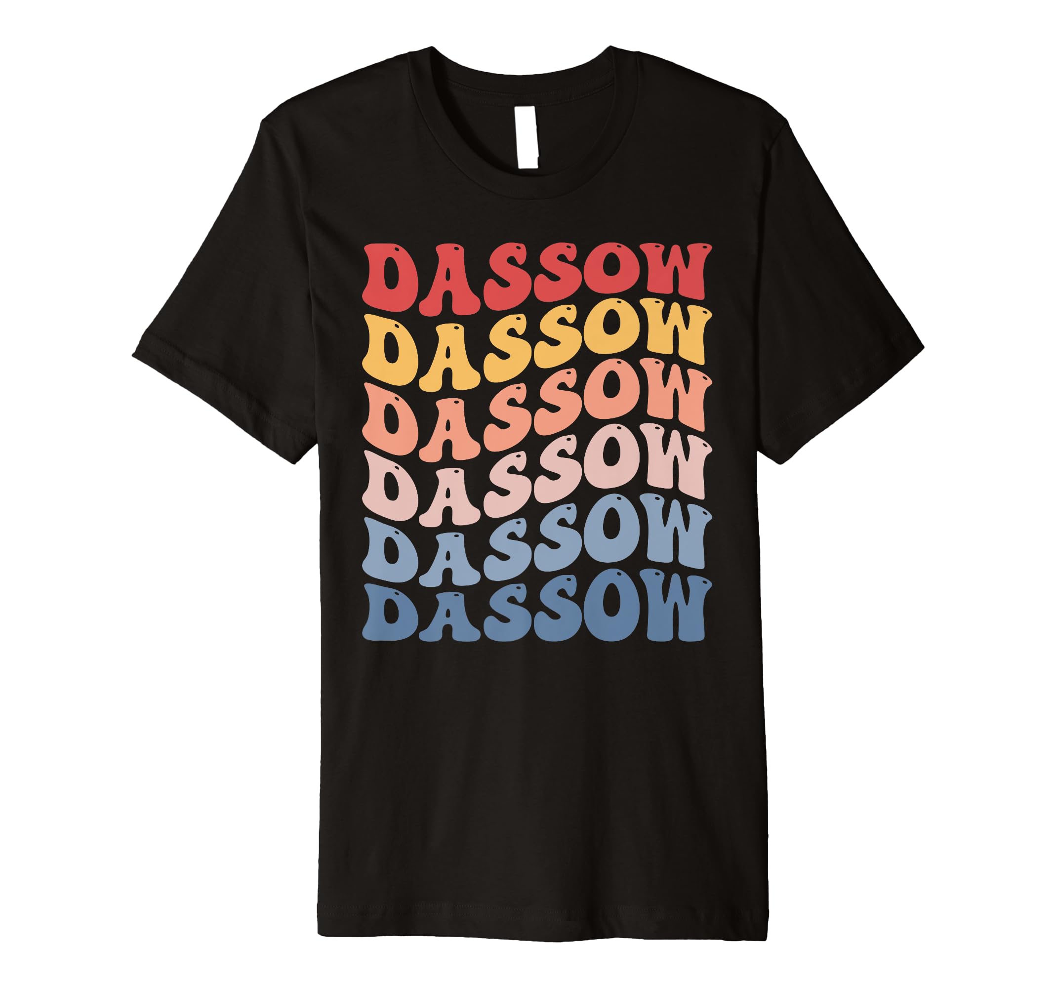 Dassow City Groovy Retro Premium T-Shirt