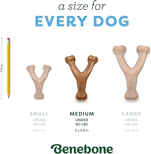 Vista 77 de Benebone - Paquete de 2 juguetes masticables duraderos para perros, diseño Wishbone/Dental, tocino real, fabricados en Estados Unidos, grandes