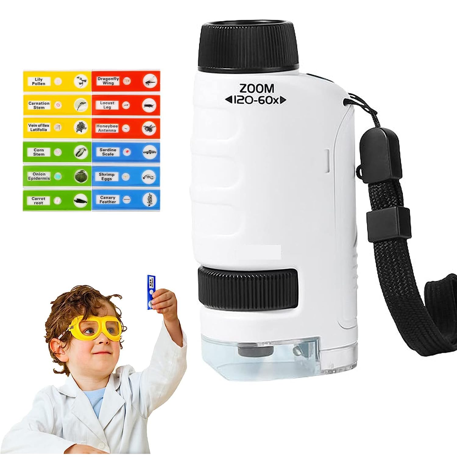 AquaFalcon 60-120x Pocket Microscope Electric Mini Microscope with LED Light Portable High Definition Children Microscope with Specimens for Kids Students Microbiological Observation Learning