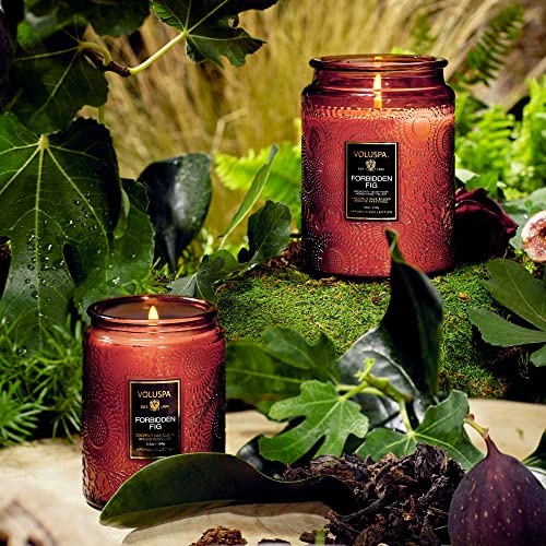 Voluspa Forbidden Fig Candle | Large Glass Jar | 18 Oz | 100 Hour Burn Time | All Natural Wicks And Coconut Wax For Clean Burning | Vegan | Poured In The Usa #TOP2