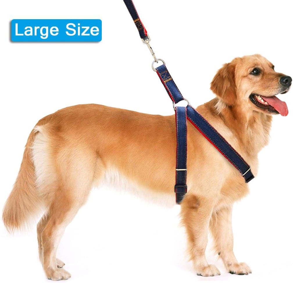Lifepul(TM) Dog Leash Harness / Collar Set - Adjustable Heavy Duty Denim Harness Leash Set in Universal Size for All Dogs - No Pull in Training & Everyday Walking (L)