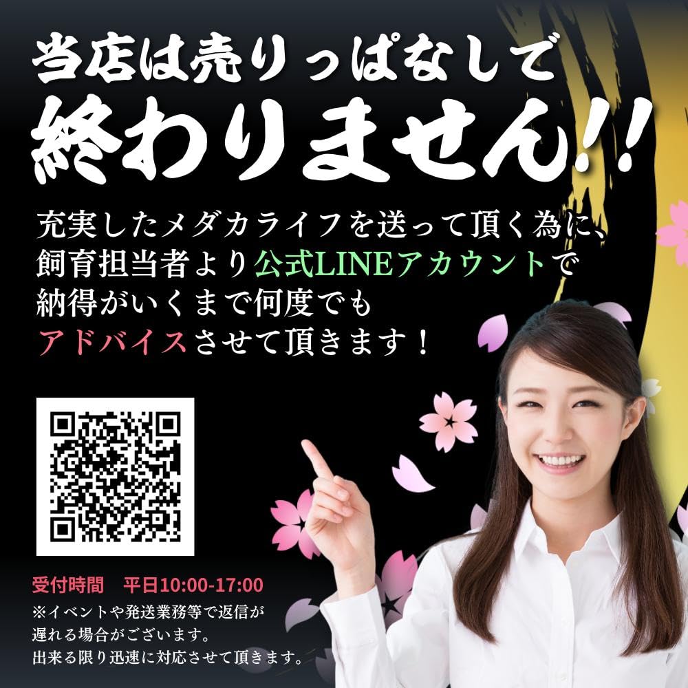 Amazon | 【10匹＋α】メダカ ダルマめだかミックス【めだか】S~SS