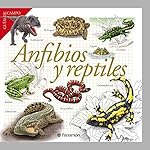 Anfibios y reptiles (Guías de campo):