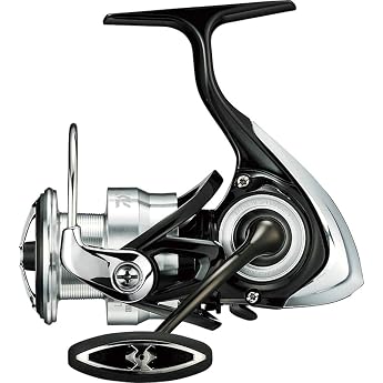 DAIWA   19   LT 2019