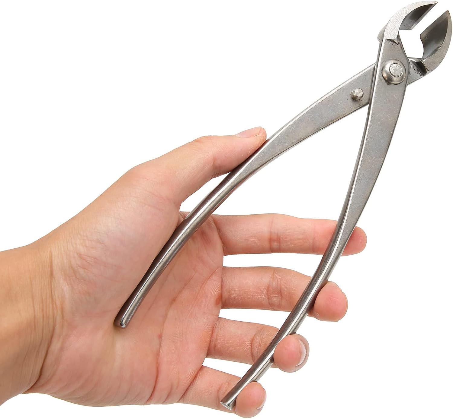 Bonsai Shears, Pruning Scissors, Potting Scissors, Gardening Scissors Diagonal Pliers, Bonsai Tools.