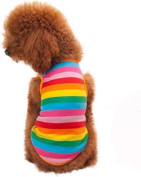 Amazon ふく福 可愛い 小中型犬服 ｔシャツ ドッグタンクトップベスト お散歩お出かけウェアに レインボーカラー M ふく福 シャツ パーカー 通販
