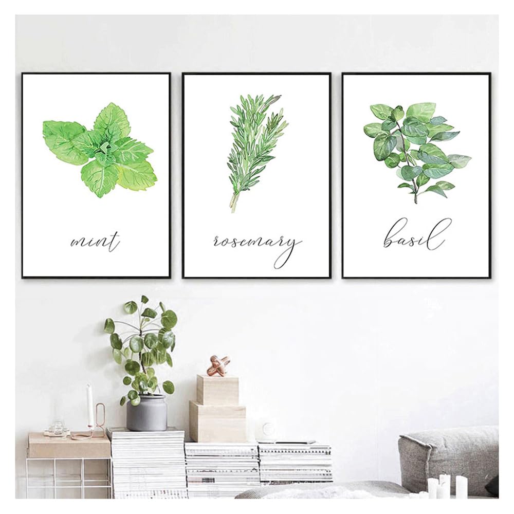 WBYZAC Art Prints-Prints Kitchen Decor Green Plant Pictures Botanical Wall Art Canvas Painting Abstract Watercolor Herbs Posters Bedroom Artwork-50 * 60cm*3PCS (No Frame)