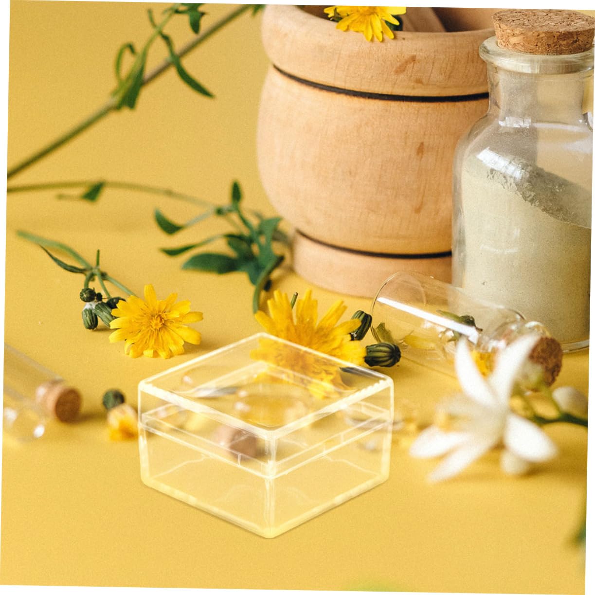 Beaupretty Caja Cuadrada Transparente para Colección y Exhibición, Mini Caja de Acrílico con Tapa, Pack de 30 Unidades Ligeras y Compactas para Organizar Objetos Pequeños en Hogar o Taller
