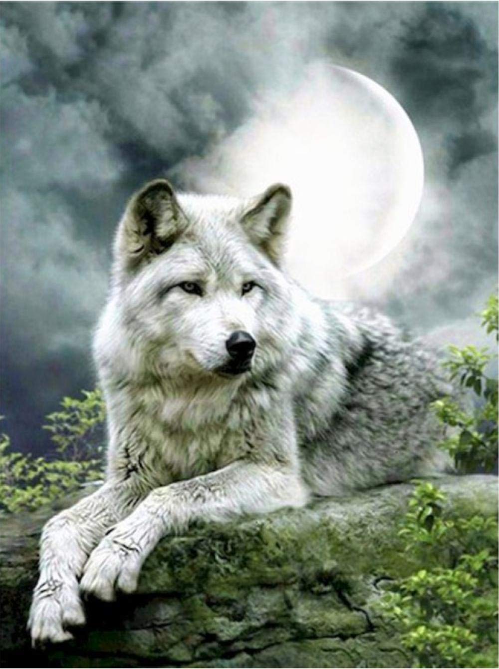 Peinture par numéros loup sous la lune évasion créative