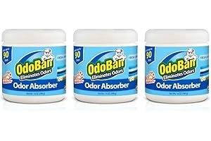 Odoban Odor Absorbing Solid Charcoal Air Freshener