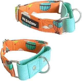 Dog-O-Bow Hot Air Balloon Print Martingale Dog Collar, Durable, Comfortable & Adjustable Training Collar (Medium)
