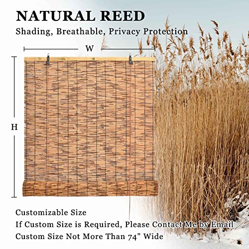 Mmqq Bamboo Roll Up Blinds For Patio Reed Woven Blinds Retro Bamboo Shades Outdoor Indoor Roman Shades For Windows Sunshade/Heat Insulation/Anti-Uv, W36Xh59In #TOP4