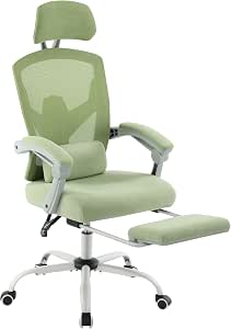 AFO Ergonomic Office Chair, High Back Chair with Lumbar Pillow and Retractable Footrest, Mesh Padded Armrests Adjustable Headrest, Height Adjustable, Green (WY-9053-GN)