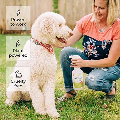 Wondercide - Flea, Tick & Mosquito Spray For Dogs, Cats, And Home - Flea And Tick Killer, Control, Prevention, Treatment - With Natural Essential Oils - Pet And Family Safe - Lemongrass 16 Oz #TOP1