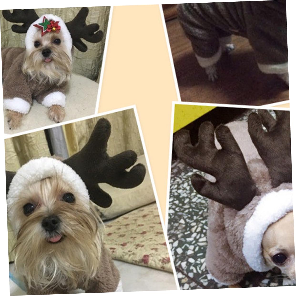 BESPORTBLE 3 Pz vestiti invernali per animali domestici cappotto cane piccolo cappottino cane piccolo abito felpe invernali felpe per cani panno per cani giacca con cappello