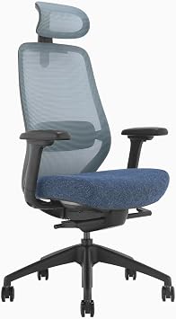 Desky Coilflex Ergonomic Office Chair Blue/Headrest, Ergonomic Mesh Office Chair with Adjustable Headrest