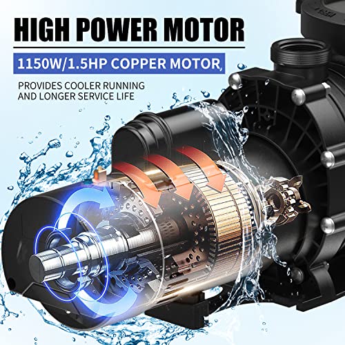 Briopaws 1.5Hp Dual Speed Pool Pump, 4680Gph Flow, 43Ft Head Lift, Self-Priming Water Pump For Inground/Above Ground Pools, Seawater Pools And Hot Tubs, 230V 60Hz Ac #TOP3