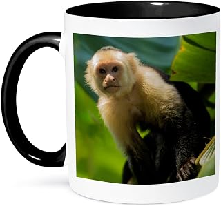 3dRose Costa Rica, monkey, spider monkey, tree 11oz Two-Tone Black Mug