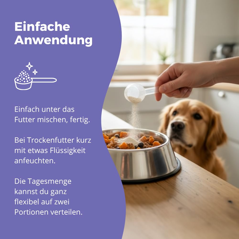 Senior Power – 5-Fach Nährstoffkomplex mit Molkenprotein, Omega-3, Taurin & Vitaminen für Hunde & Katzen Senioren – Muskelaufbau & Fitness-Booster im Alter – Pulver | 280g