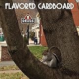 Left the Bathroom Light On Blues