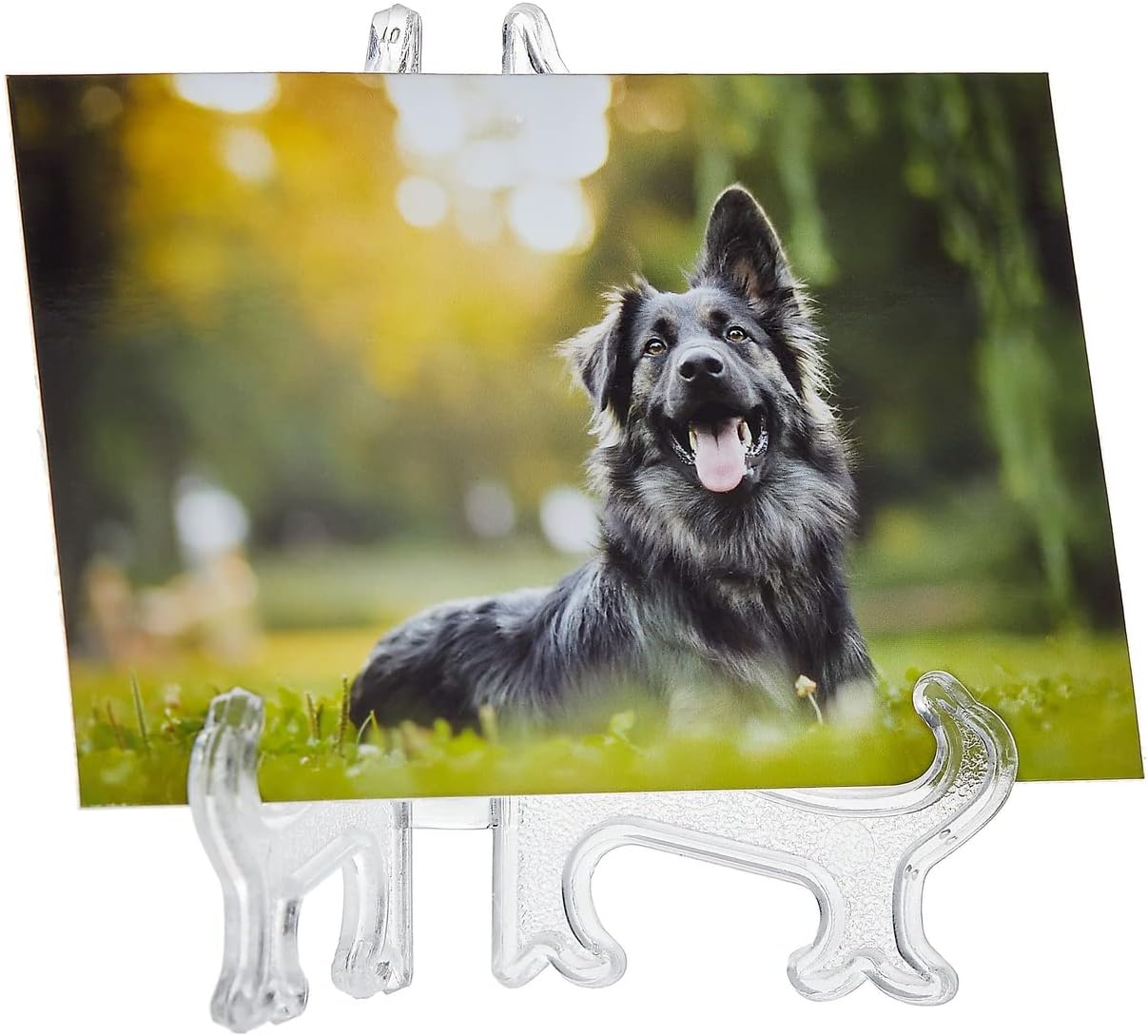 24 Pack Acrylic Easel Set, Mini Easels for Photos, Sports Trading Cards and Collectables, Baseball Card Display Stand (3 in)