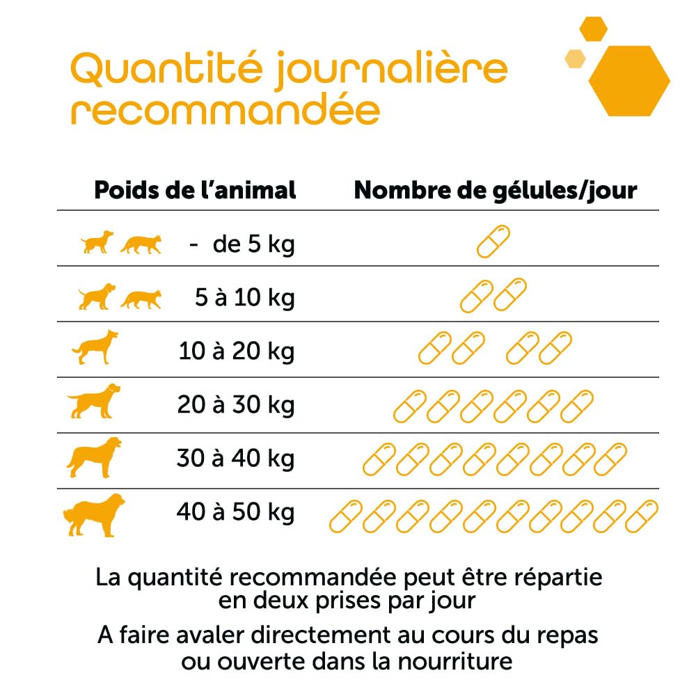 MP Labo Hepa+ MP 60 Gélules - Protection des Cellules Hépatiques et Bon Fonctionnement Hépato-biliaire pour Chien et Chat - Contient Chardon-Marie, Fumeterre, Anti-oxydants, Minéraux et Vitamines