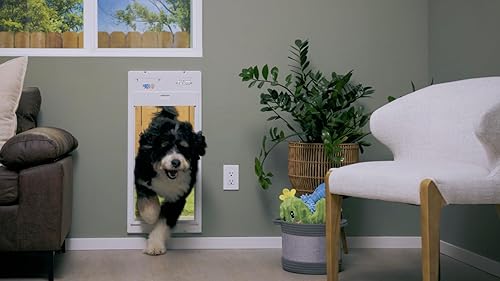 Miniatura 3 de High Tech Pet Brand Power Pet - Puerta enrollable automática para mascotas, funciona con mascotas, control remoto, temporizadores de salida y