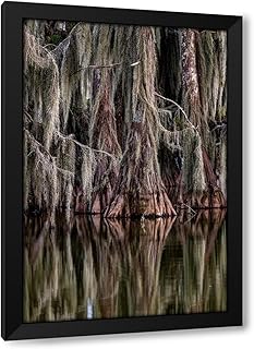 ArtDirect Cypress trees reflect at Lake Martin near Lafayette-Louisiana-USA Custom Framed Art Print Giclee Print or Canvas Options with Various Sizes and Customization by Haney, Chuck