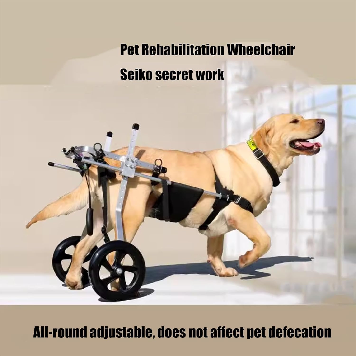 Fauteuil Roulant pour Chien de Taille Moyenne et Grande, Aide à la rééducation, attelle de Jambe arrière, Chariots pour Chien avec Roues, pour la rééducation des Pattes arrière,XXL