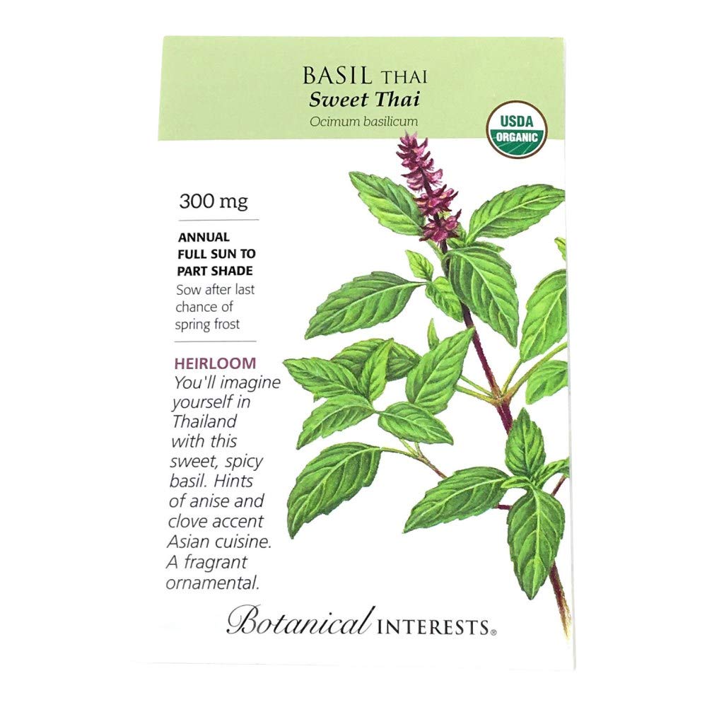 Organic Thai Sweet Basil Seeds - Premium Quality For Home Gardening