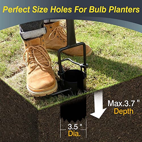 Colwelt Bulb Planter Tool Long Handle, Serrated Base Gardening Bulb Transplanter with Soft Grip, Heavy Duty Long Handled Bulb Planter Sod Plugger for Digging Holes to Plant Tulips, Iris, Daffodils by Colwelt - Image 3
