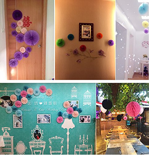 zorpia® Tissue Paper Fan Collection - 8 Assorted Fans