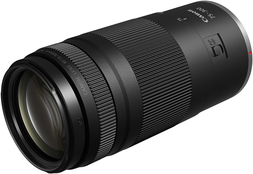 Canon EOS R100 Mirrorless Camera Two Lens Bundle 24.1MP 4K APS-C Beginner Camera Kit with RF-S 18-45mm + RF 75-300mm Lenses, 64GB Memory Card & Photo Editing Software 8 613TOafrFPL. AC SL1000