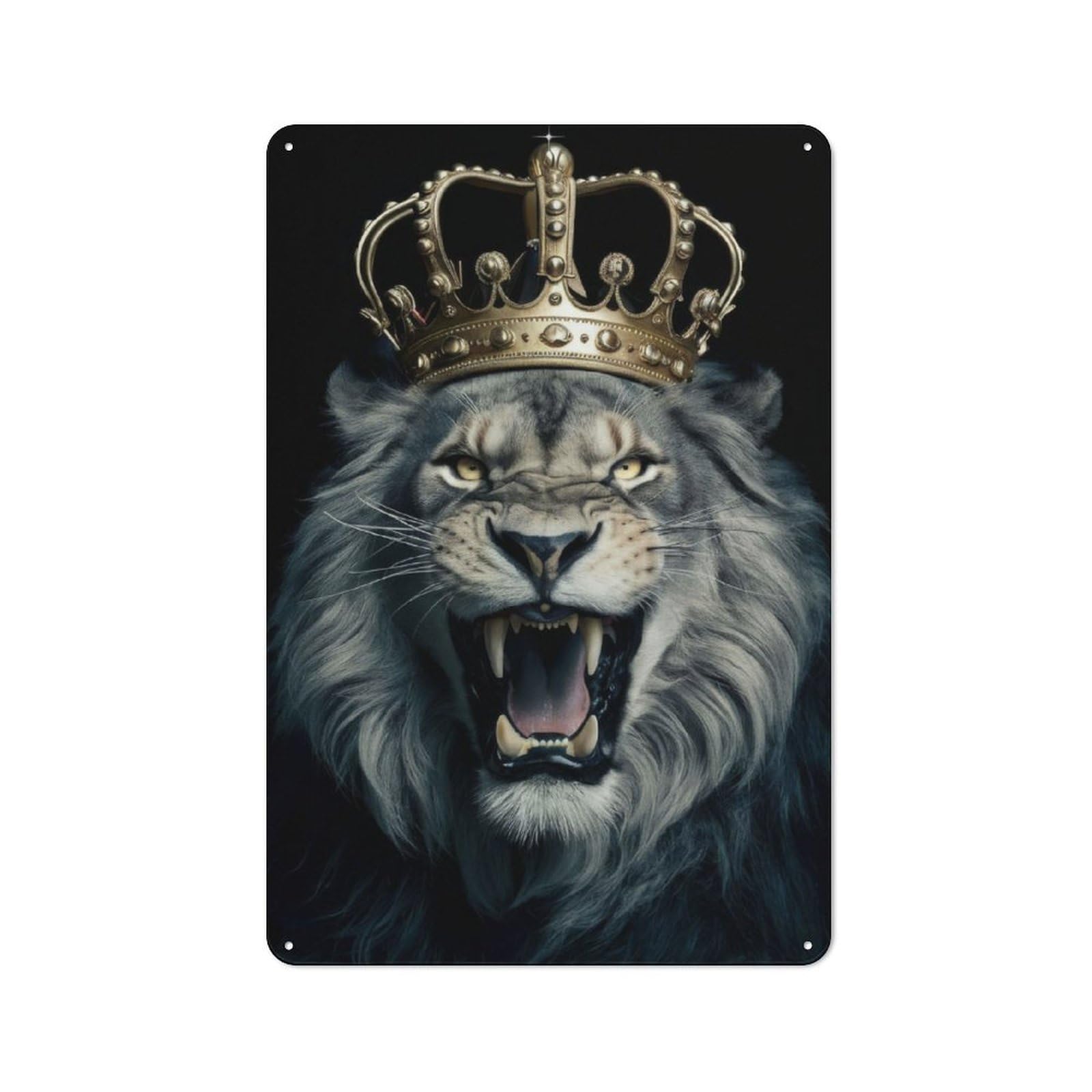 Lion Crown Retro Metal Wall Sign 30x20cm for Guest Room Or Hallway, New-space Wall Decor for Home Decor Collectors