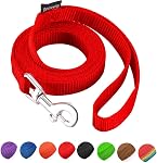 AMAGOOD 6 FT Puppy/Dog laisse, solide et durable style traditionnel laisse avec facile à utiliser crochet de collier, 3/8" 5/8" 3/4" 1" Lead Chien Great pour Petit et Moyen et Grand Chien (Noir,1" x 6 Pieds)