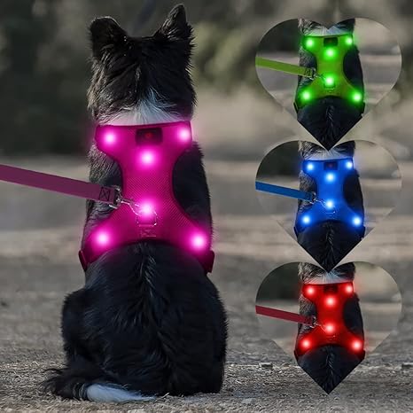 luminous dog harness