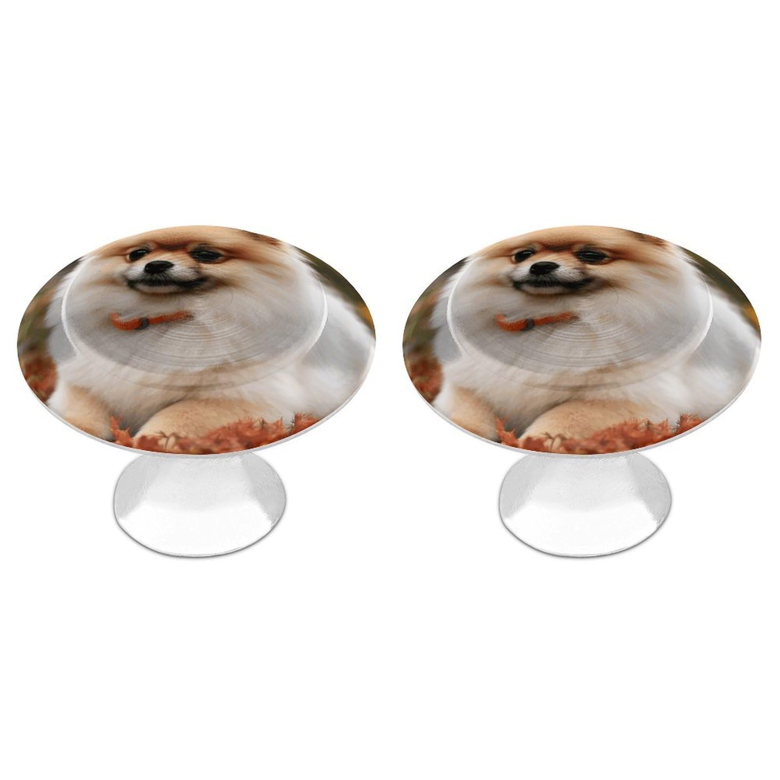 Vstadank Style Short Haired Pomeranian Dog Drawer Pulls Sturdy Stainless Steel Door Handle Round Cabinet Knobs Fashion Dresser Drawer Knobs Door Pulls Exquisite Cabinet Handles Furniture Pull 2Pcs